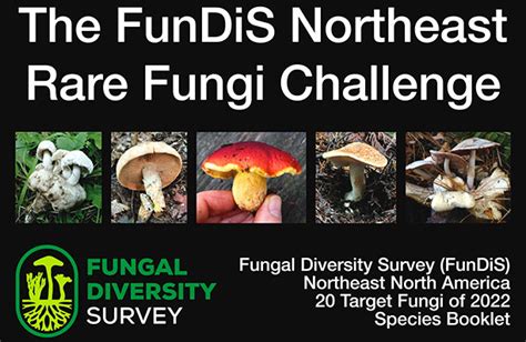 Fundis Northeast Rare Fungi Challenge Boston Mycological Club