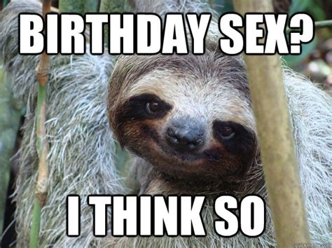 Birthday Sex I Think So Pickup Line Sloth Quickmeme