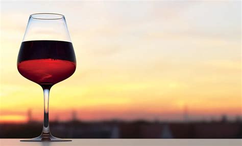 Best Red Wines For Summer 2021 Article Bookmarker