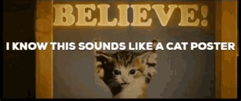 Cat Poster Believe  Catposter Believe Cat Discover And Share S