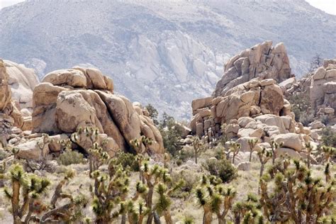The class comes with two free weeks of climbing. Rock Climbing: Joshua Tree National Park, CA.Easily one of ...