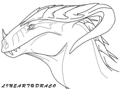 Dragon Head Lineart By Dracofeathers On Deviantart