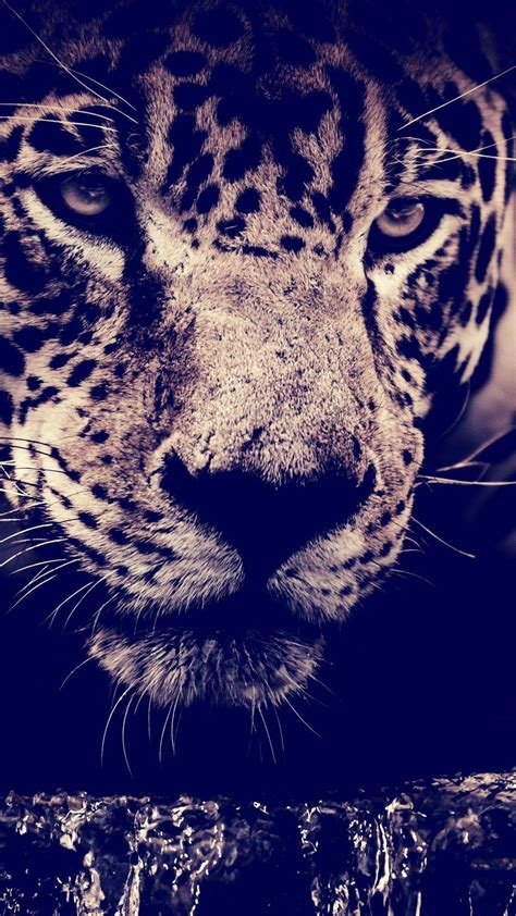 Tons of awesome wallpapers for boys mobile to download for free. Full HD Wallpapers A Mobail - Wallpaper Cave