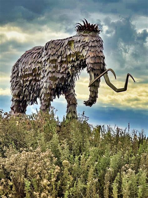 The Shropshire Woolly Mammoth Sculpture A Life Size Meta Flickr