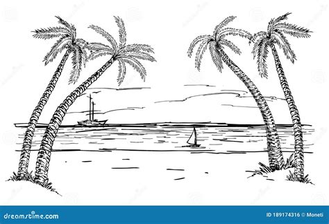 Landscape With Sea And Palm Trees Sketch Summer Beach Hand Drawn