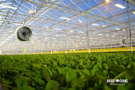 Brightfarms Greenhouse 1 Updated Vegetable Growers News