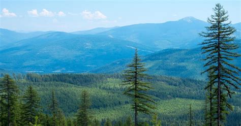The 10 Best Hikes In The Kootenai National Forest Montana 10adventures
