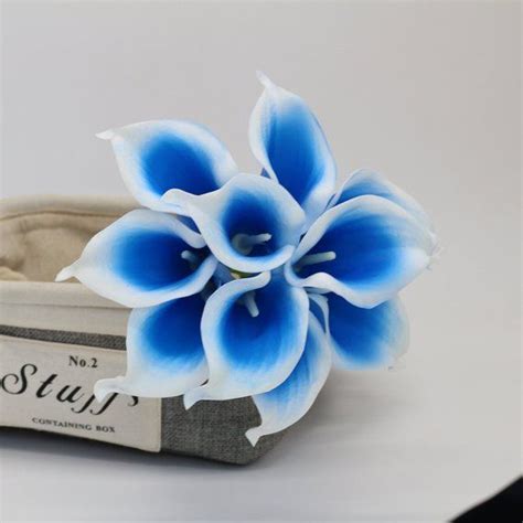 Picasso Blue Calla Lilies Royal Blue Calla Lily Bouquet 10 Etsy