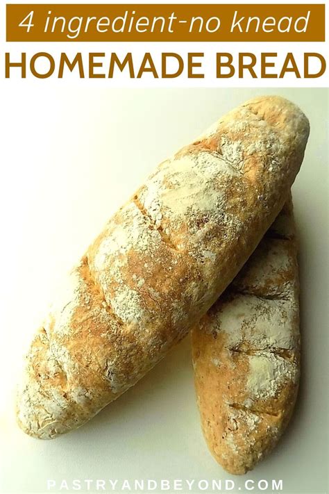 Just an incredible success for this revolutionary recipe, which makes it possible to obtain pro tip: No Knead Bread-You can easily make homemade no knead bread ...