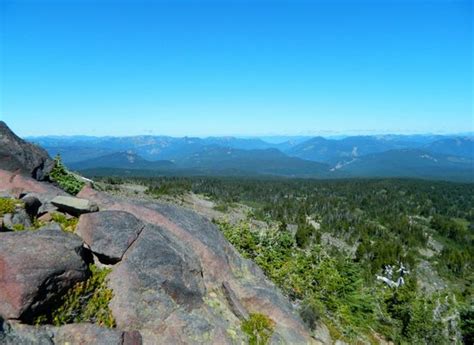 Gifford pinchot national forest is a national forest located in southern washington, usa, managed by the united states forest service. Mt. Adams daytime reflection in Takhlakh Lake - Foto de ...