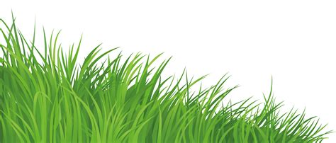 Grass Element Png Clipart Picture Gallery Yopriceville High Quality