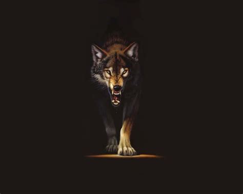Angry Wolf Wallpapers Hd Wallpaper Cave