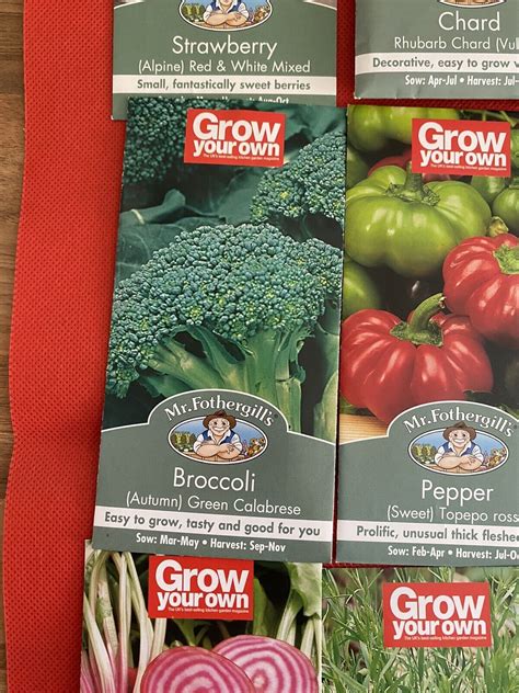 Vegetable Seeds Mixed Varieties 10 Packs Offer Easy To Grow Mr Fothergills Ebay