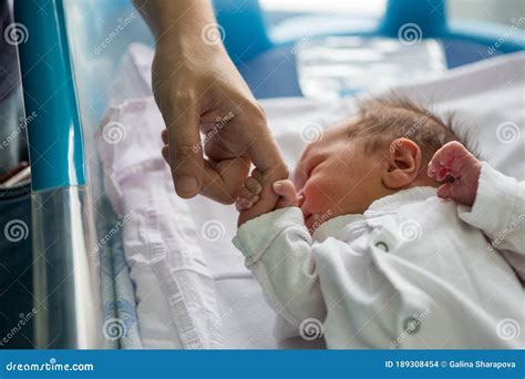 Beautiful Newborn Baby Boy Laying In Crib In Prenatal Hospital Stock