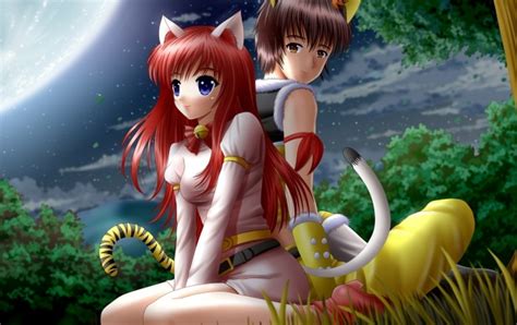 Anime Boy Girl Cat In Nature Night Wallpapers