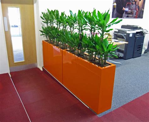 Barrier Plants Used For Office Screening Office Landscapes