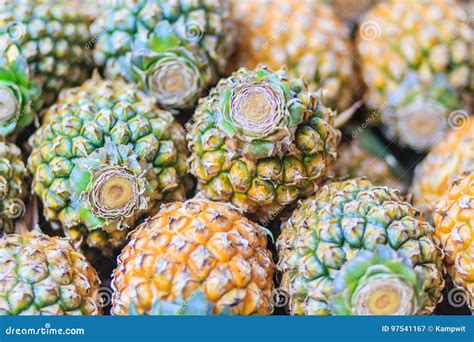 Fresh Organic Phulae Pineapple For Sale At The Fruit Market The Stock