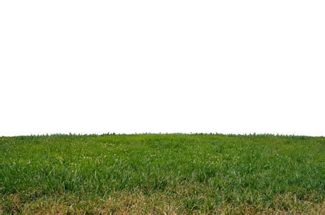 Grass Png Clipart Png All