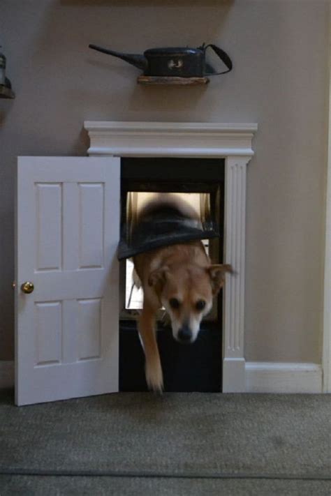 Dog Door Diy Door Designs Plans Dog Door Indoor Dog House Indoor Dog