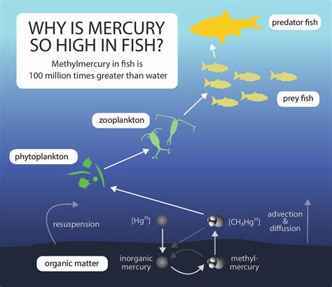 Mercury Fish 103 Page 001 1