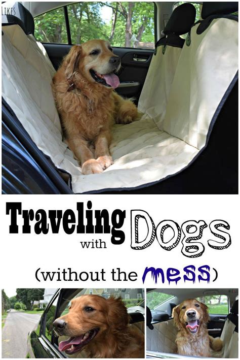 This may include damage done by animals of all types and sizes. 4Knines Seat Cover Review - Protect Your Investment | Dog travel, Pet insurance reviews, Dog ...