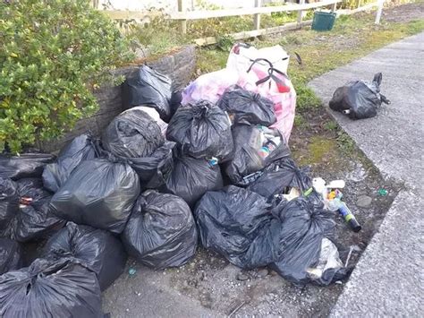People Dump Their Bin Bags At The End Of A Woman S Drive And She S