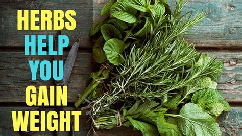 Herbs That Can Help You Gain Weight Miraculous Herbs For Fast Weight Health Benefits In