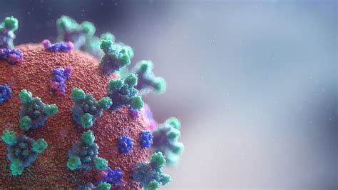 Quanto è Mutato Il Coronavirus E Cosa Cambia Per La Malattia Wired