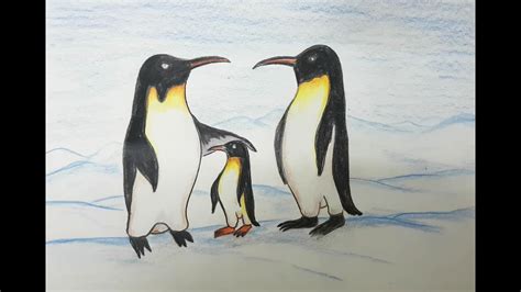 How To Draw Penguin With Color Pencil Step By Step Tutorial Sr Art