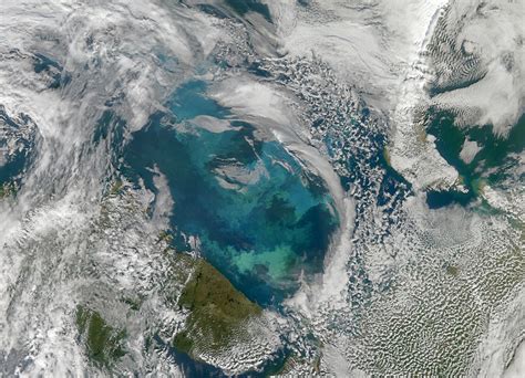 Phytoplankton Bloom In The Barents Sea Nasa Image Acquired Flickr