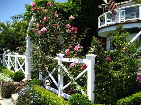 Laguna Beach Cottage European Garden Design