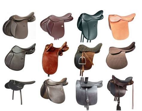 English Saddle Variations Can You Identify Each Type Horse Saddles