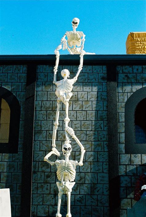 These halloween skeleton decorations will get you inspired of how to make your yard stadn out from the rest on the street for the upcoming festive holiday. 25 Stunning Skeleton Halloween Decorations Ideas ...