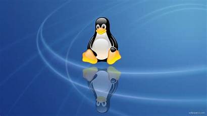 Linux Penguin Tux Wallpapers Computer Os Penguins