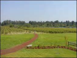Submitted 8 days ago by beer_vision_01. Blueberry Farms | City of Bellevue