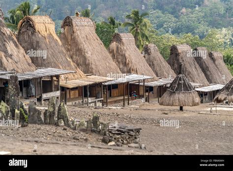 Traditional High Thatch Roofed Houses And Shrines In The Ngada Village Gurusina Near Bajawa