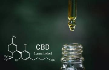 Qu Est Ce Que Le Cbd Cannabidiol Effets Bienfaits