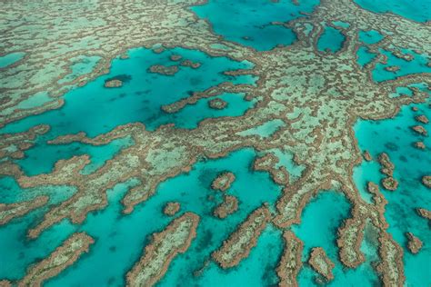 Hardy Reef Great Barrier Reef David Sinclair Photography