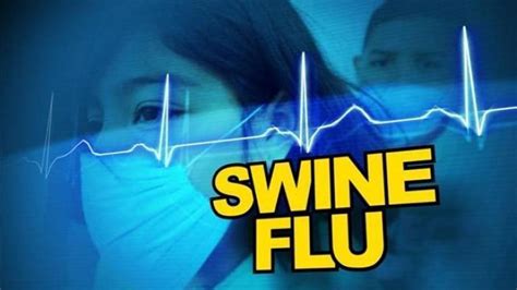 Swine Flu As More Cases Appear Locally Here S What You Need To Know Zululand Observer