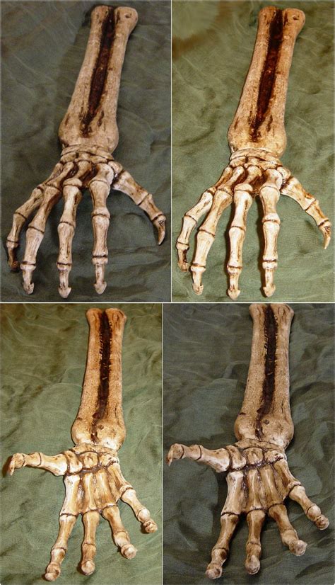 Skeletal Hand Skeletal Hand Bones Arm By Fantasystock On Deviantart