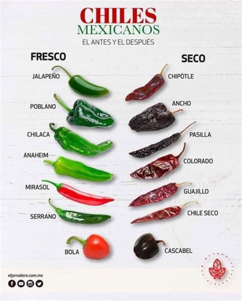 Different Types Of Mexican Chile Peppers Muy Bueno