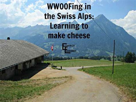 Wwoofing Learning To Make Cheese In Switzerland