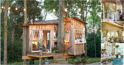 Don't throw cones into tree houses. The Fox House Is a 100-Square-Foot Light-Drenched Getaway ...