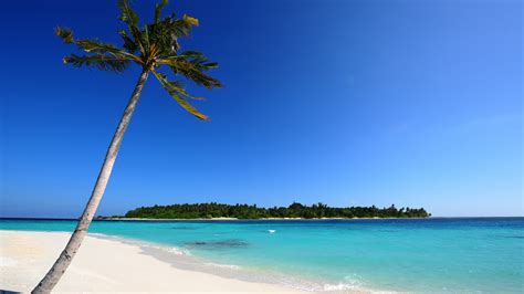 Free Download Free Beach Screensavers 2560x1600 For Your Desktop