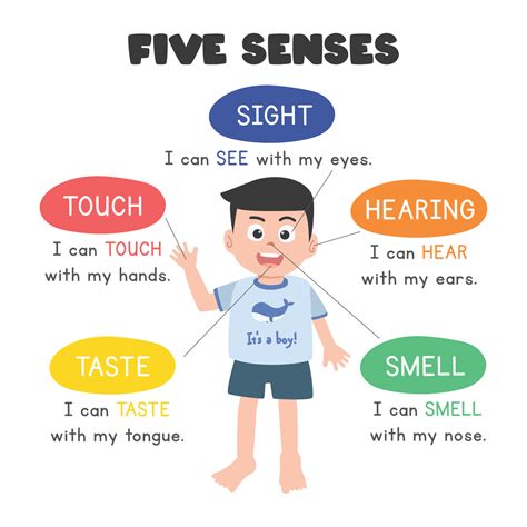 Five Senses Vector Illustration Little Boy Showing Five Human Senses
