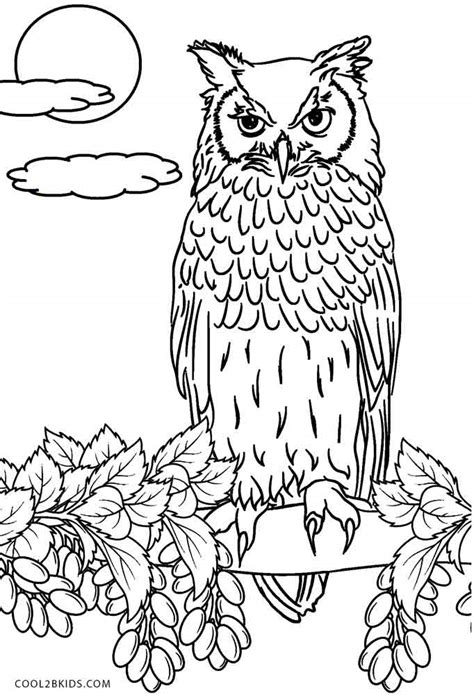 Please coloring sheets pictures for kids, coloring pictures can improve memory for the children color the picture could. Free Printable Owl Coloring Pages For Kids | Cool2bKids