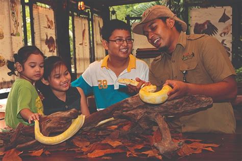 Masukkan kunjungan ke sunway lagoon ke dalam itinerary anda, dan habiskan waktu seharian di waterpark atau pun dengan menikmati petualangan yang ekstrem. Tiket masuk ke sunway-lagoon-theme-park