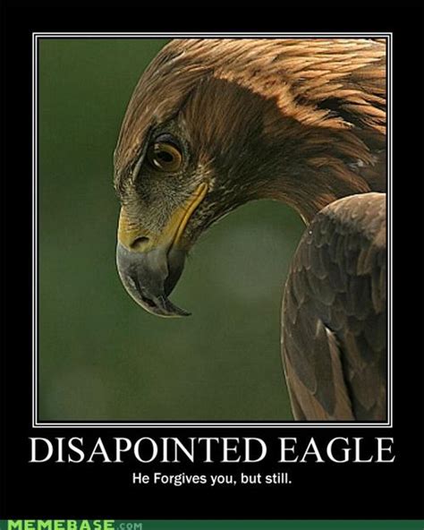 Disappointed Eagle Very Demotivational Demotivational Posters