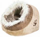 Images of Images Of Cat Beds
