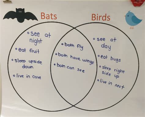 First Grade Love : Compare and Contrast